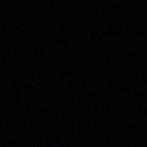 Meet your Posher, Mia